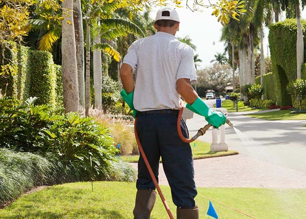 About Carlisle KY Pest Control